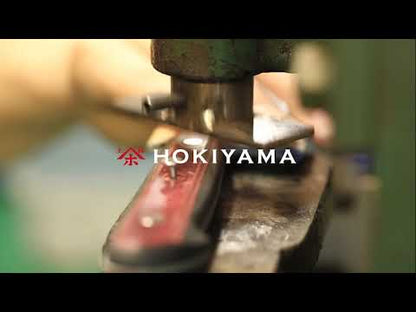 Hokiyama Kiritsuke Aogami Super Tosa-ichi 24см